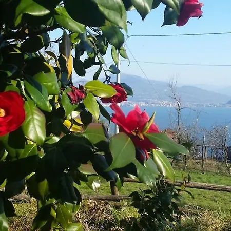 Via Opifici Appartamento *